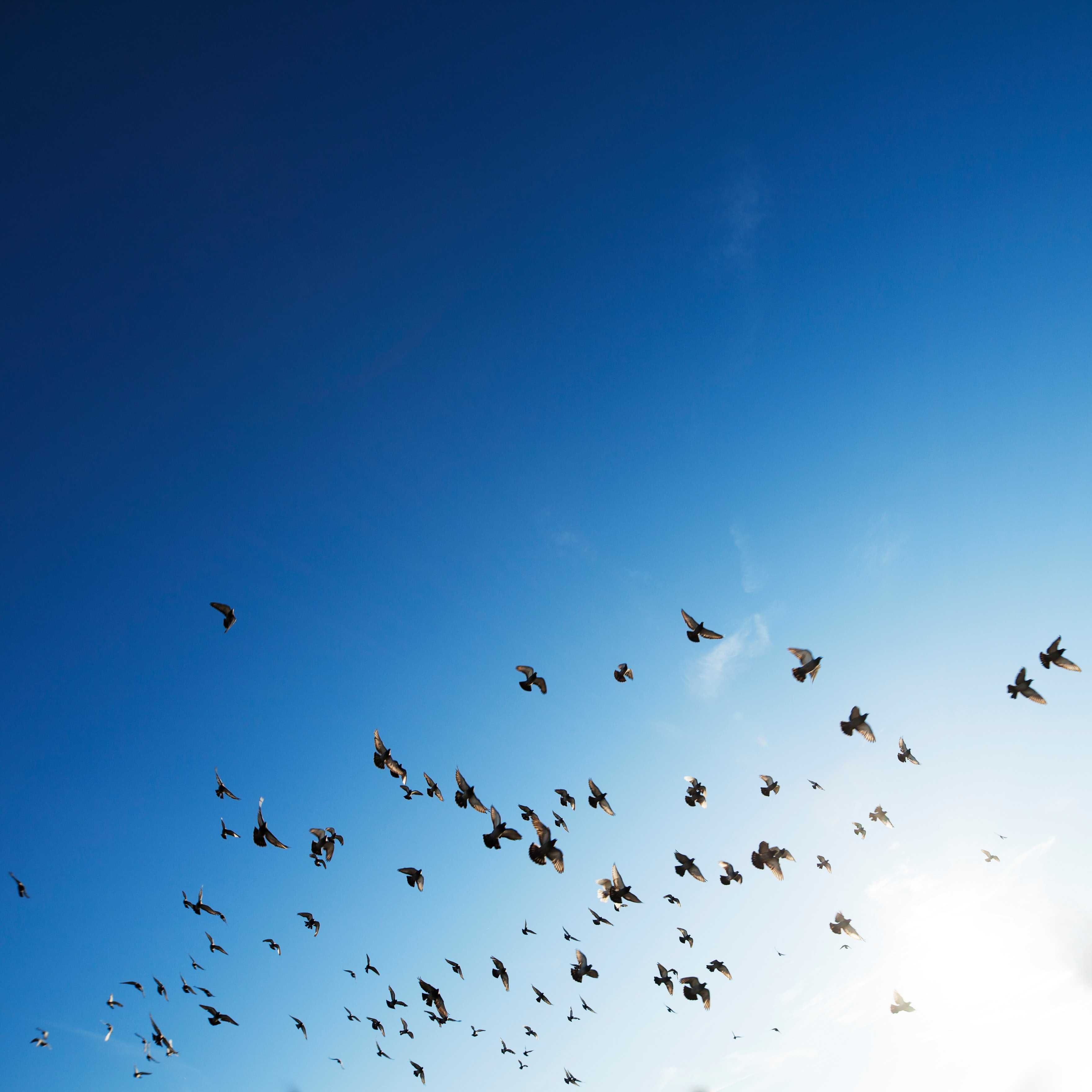 Stufen der Erleuchtung