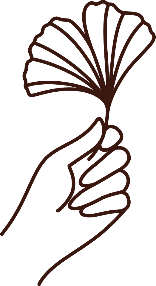 Phase-7 -Die-erneute-Annäherung